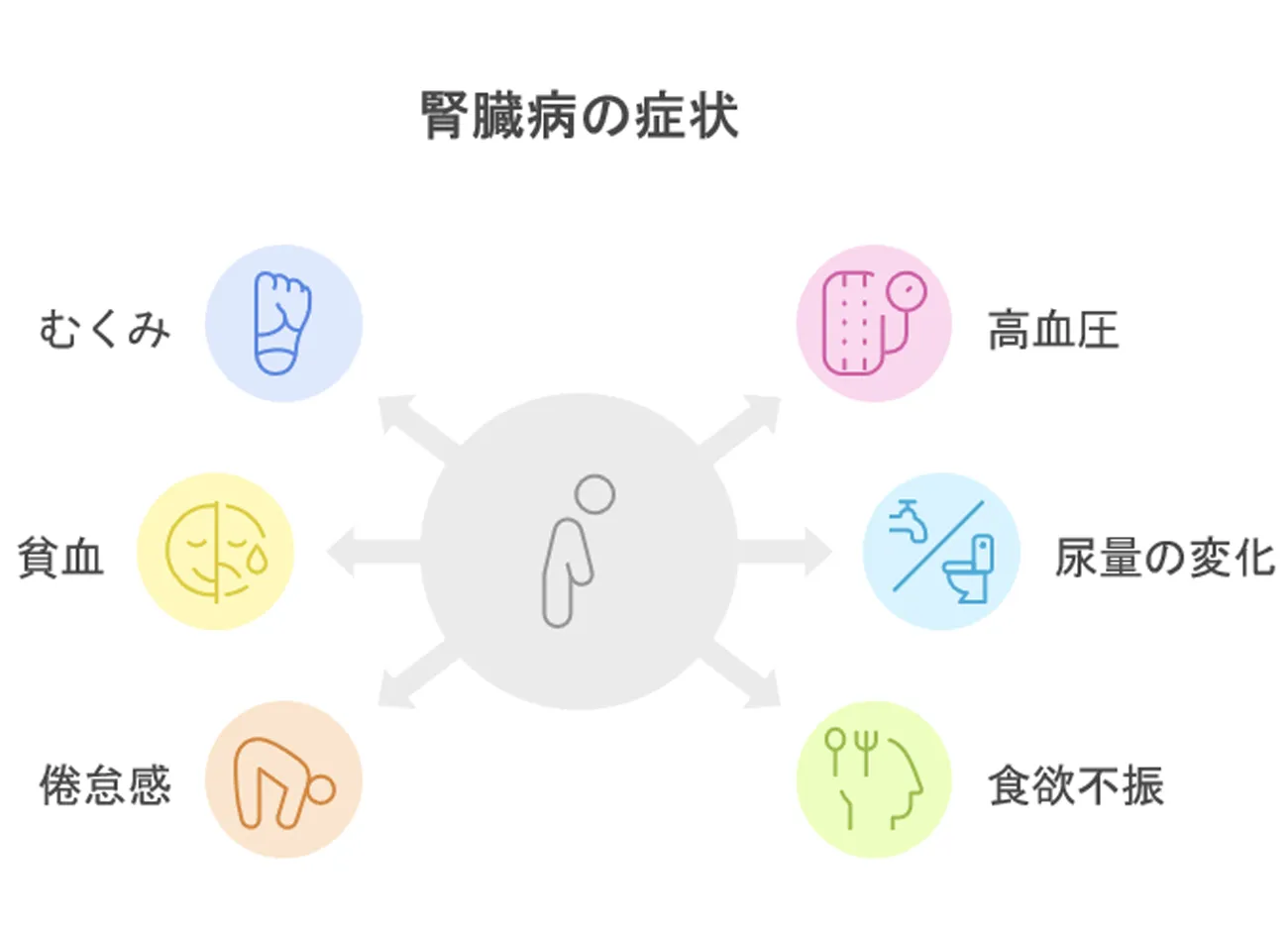 腎臓病の症状